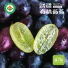 新疆黑美人葡萄4斤/件 新疆哈密产区 清甜无籽葡萄 新疆葡萄美食 商品缩略图0