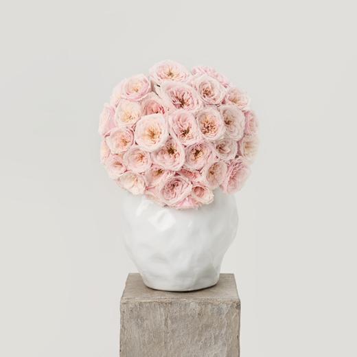 浪漫南法 Southern France 商品图0