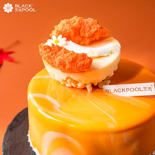 【风之岛】香草杏桃莓果慕斯 商品图2