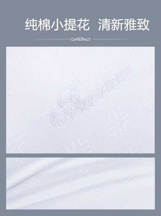【6F】富安娜 芯舒丝绒枕 白色 规格48*74 商品图3