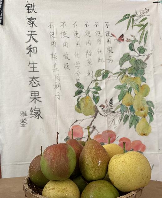 生态玉露香梨、红香酥梨、皇冠梨 | 施用发酵羊粪、人工除草 | 源自河南鲁山，产地直发 商品图0