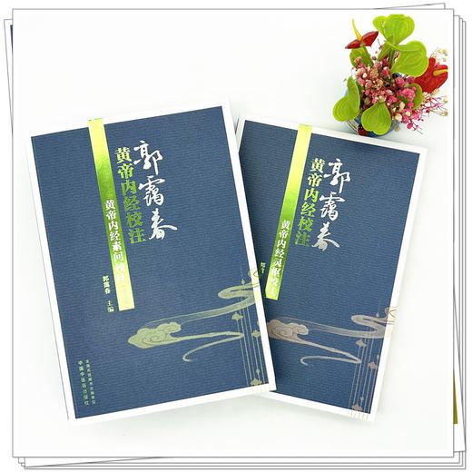 【全2册】黄帝内经 灵枢校注+素问校注（第二版） 郭霭春 编著 中国中医药出版社 郭霭春黄帝内经校注 书籍 商品图1