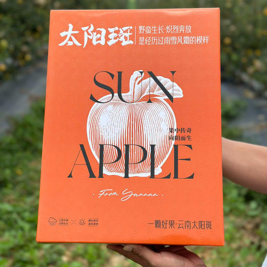 苹果天花板 没有之一【逐南味】红斑维纳斯苹果  果锈越多越好吃 商品图2