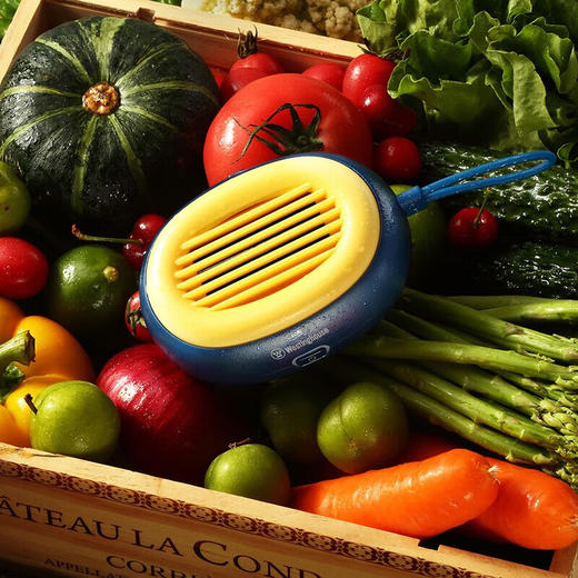 西屋Westinghouse果蔬清洗机WGS31【LXJY2.9】 商品图0