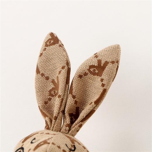 单拍订单无效【实体店同款】男童女童老花公仔兔BLUE安奈儿童装AM248711 商品图2