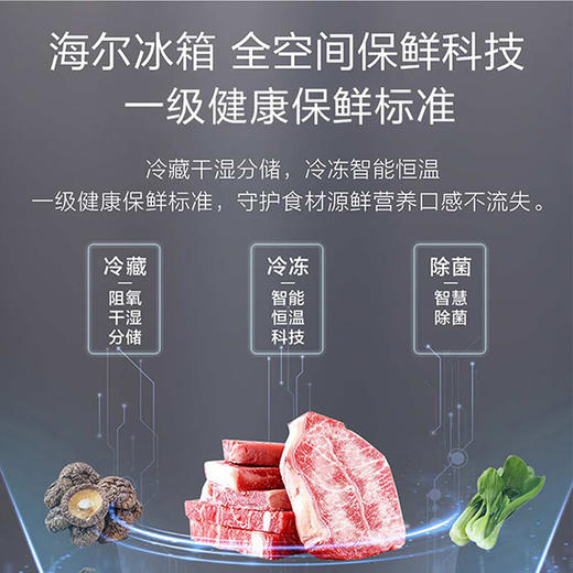 海尔/冰箱/BCD-410WLHC214W3U1 商品图2