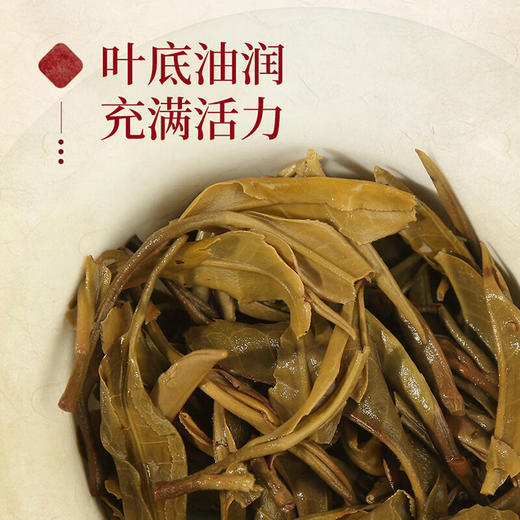 陈升号 2020年灵鼠招财生肖纪念茶357g（生茶） 商品图3
