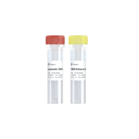 Lipomaster 3000 Transfection Reagent