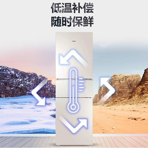 海尔/冰箱/BCD-220WMGL 商品图5
