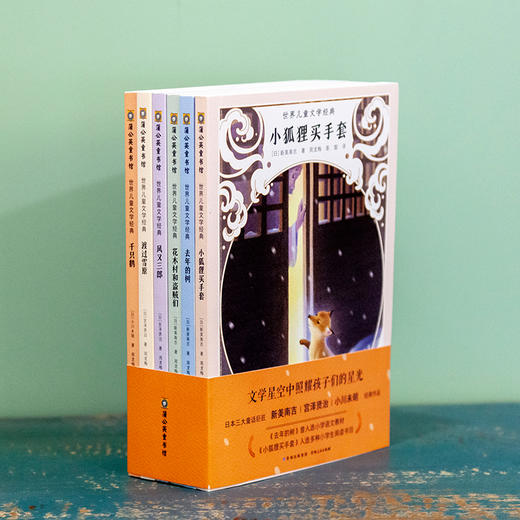 世界儿童文学经典（全6册） 商品图5