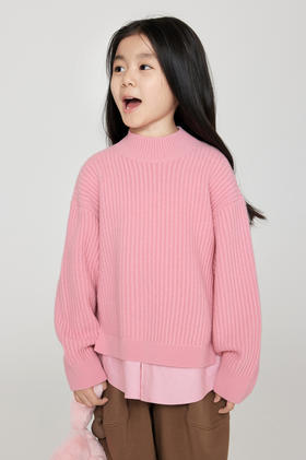 jnby  23年秋款  假俩件长袖套头毛衫  1N9313130