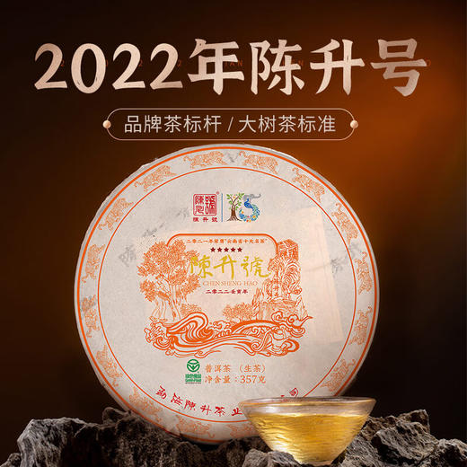 陈升号 2022年陈升号357g（生茶） 商品图0