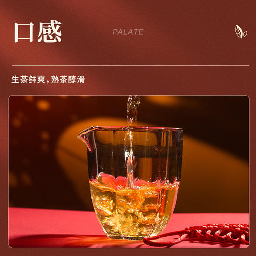 陈升号 2023年玉兔迎春357g（生茶） 商品图5