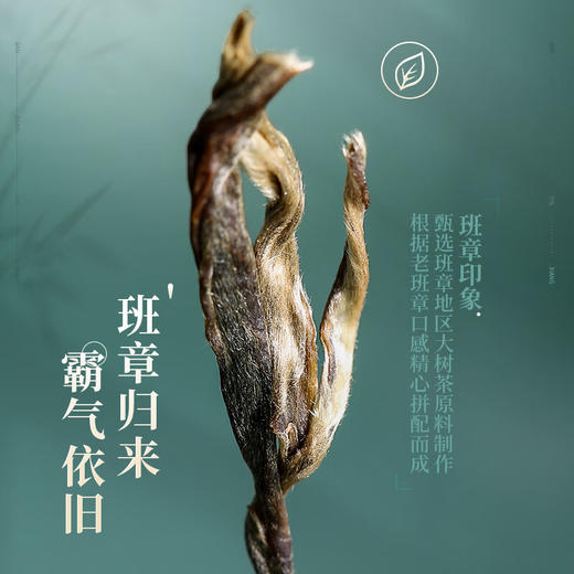 陈升号 2023年班章印象357g（生茶） 商品图3