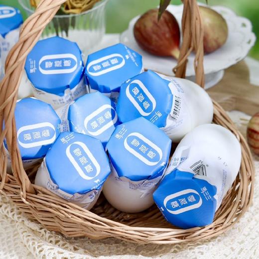 新疆马三三零添加剂酸奶 180g*12瓶 商品图1