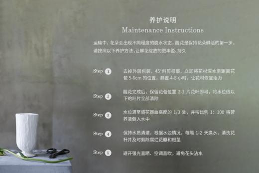 自然系列花束一期 商品图5