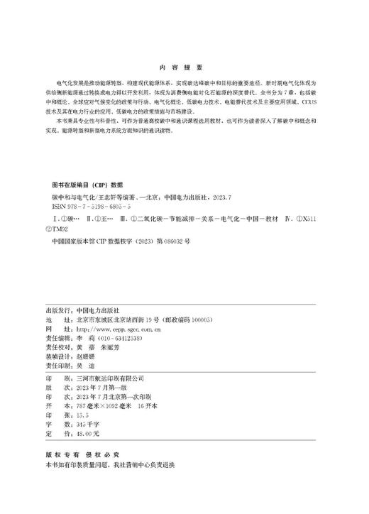 碳中和与电气化 商品图3