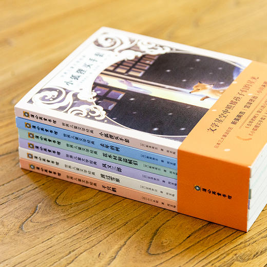 世界儿童文学经典（全6册） 商品图2