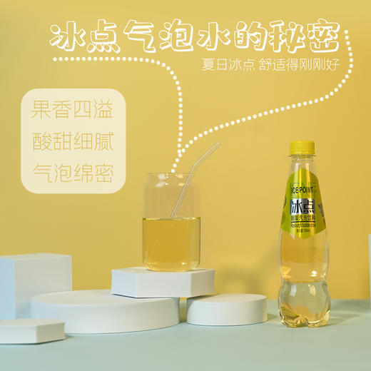 冰点刺梨气泡饮料380ml*15瓶 商品图4