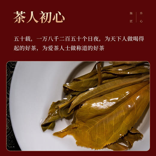 陈升号 2022年陈升匠心357g（生茶） 商品图1