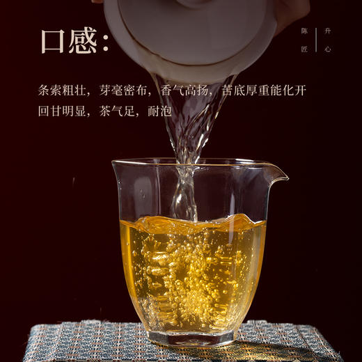 陈升号 2021年陈升匠心357g（生茶） 商品图1