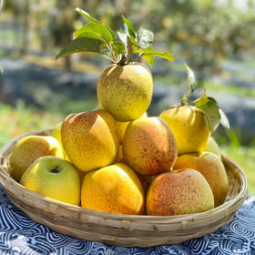 苹果天花板 没有之一【逐南味】红斑维纳斯苹果  果锈越多越好吃