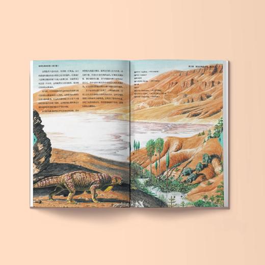 《地球生命的历程：修订版》 商品图6