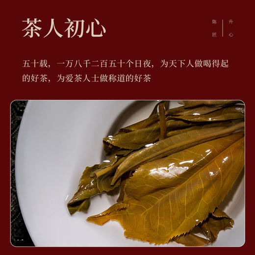 陈升号 2021年陈升匠心357g（生茶） 商品图5