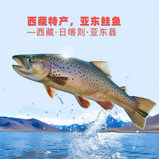 【兑换卡专用】 鹿优鲜 小方鲑 亚东鲑鱼 喜马拉雅养殖冷冻 商品图2