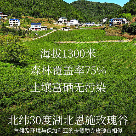 头道纯露/陪伴到老！含有精油的大马士革玫瑰纯露！ding级的食用玫瑰，4斤鲜花1斤水蒸馏萃取，保加利亚官方合作基地纯种种苗，自然农法种植，桃花源中有玫瑰! 商品图10