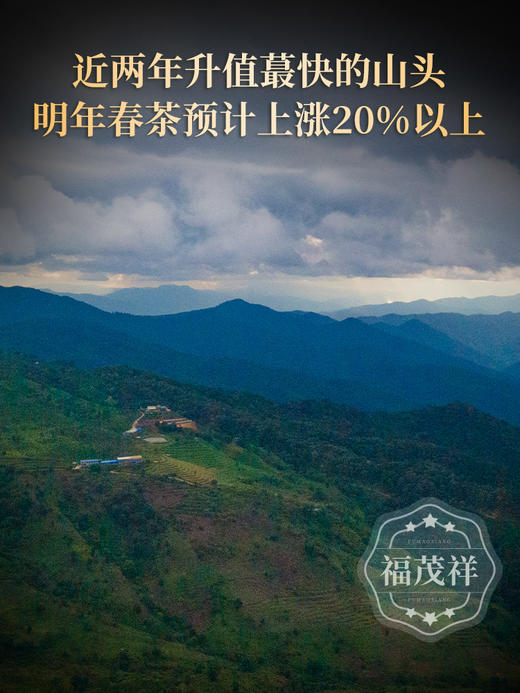【大师系列】【冰岛王】近两年升值蕞快的山头 2023年头春普洱茶临沧大忠山800-900古树茶普洱生茶357g饼茶 商品图1