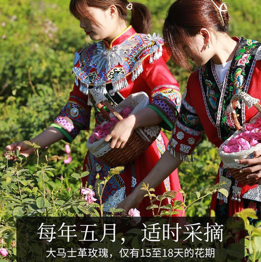 头道纯露/陪伴到老！含有精油的大马士革玫瑰纯露！ding级的食用玫瑰，4斤鲜花1斤水蒸馏萃取，保加利亚官方合作基地纯种种苗，自然农法种植，桃花源中有玫瑰! 商品图7