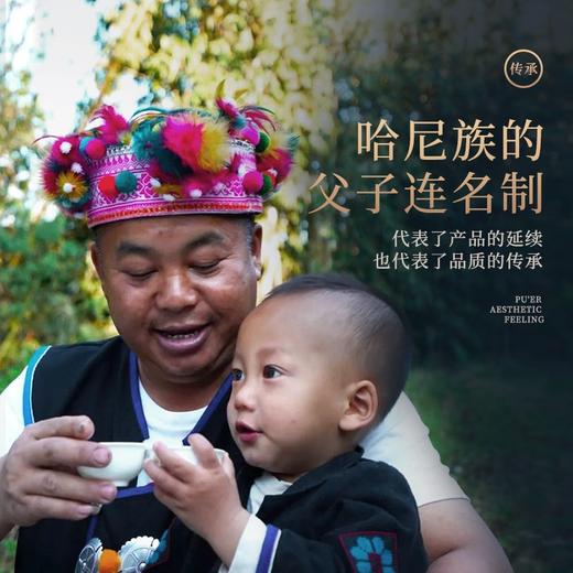 陈升号 2019年月圆357g（生茶） 商品图2