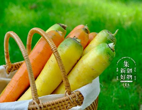 新疆黄胡萝卜 抓饭专用未清洗萝卜 5斤/箱 商品图0