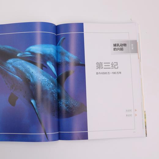 《地球生命的历程：修订版》 商品图9