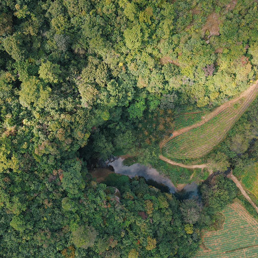 成人昆明 | 3.15周日柴石滩➕三角洞，两条路线一起走，宜良柴石滩最美山脊线，穿越冬日森林探索“云南浩坤湖/千岛湖”！徒步探秘三角洞异世界，看大自然鬼斧神工别有洞天～ 商品图10