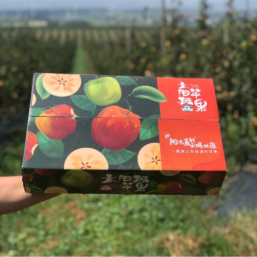 苹果天花板 没有之一【逐南味】红斑维纳斯苹果  果锈越多越好吃 商品图3