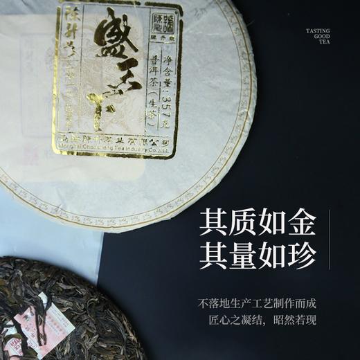 陈升号 2019年盛天下357g（生茶） 商品图1
