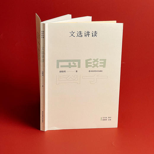国学名著讲读系列 文选讲读 华东师范大学中文系名师解读国学经典 详细注释 难点分析 文史拓展 商品图5