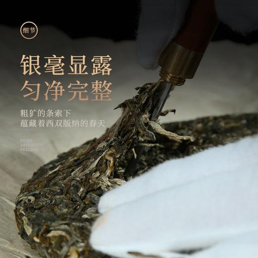 陈升号 2019年月圆357g（生茶） 商品图1