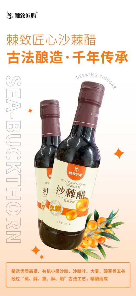 【会员专享】🔥🔥 沙棘醋首发【0添加  纯粮酿】可以放一辈子的久藏醋 一盒3瓶  🔥🔥 255ml/瓶🔥🔥 商品图2