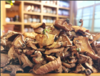 永德茶业—野生香菇500克/袋 商品缩略图0