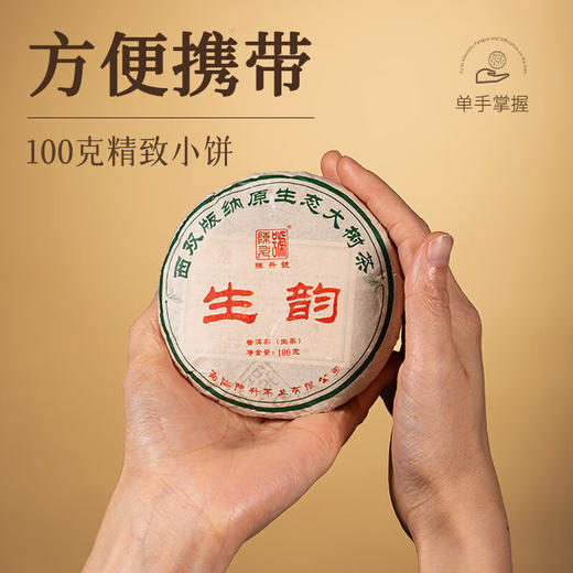 陈升号 2023年生韵100g（生茶） 商品图6