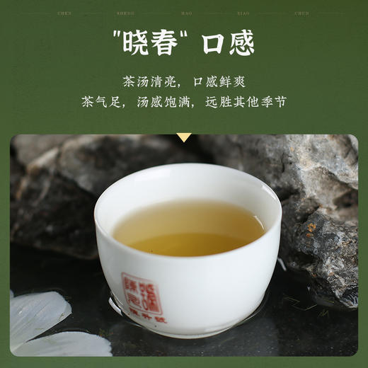 陈升号 2022年晓春357g+2016年朋友义357g普洱生茶 商品图2