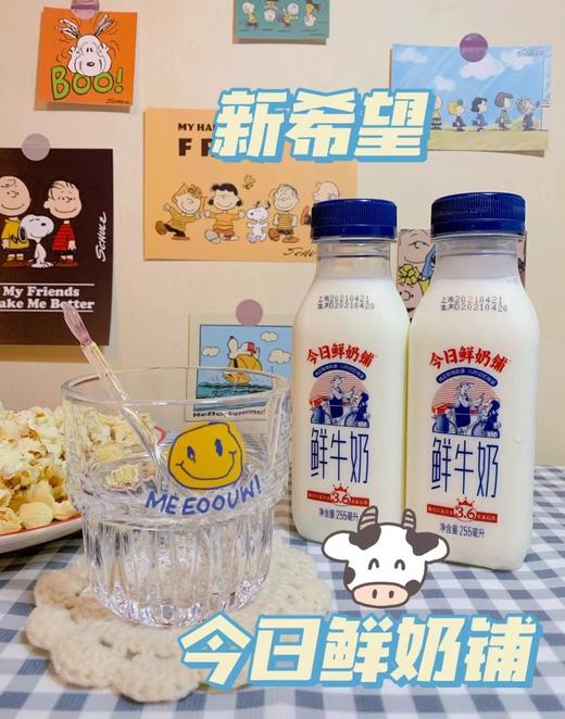 直降10元！【今日鲜奶铺】能挂壁的鲜牛奶 纯正牧场奶源 100%生牛乳 奶香浓郁 入口丝滑香甜 牛奶 商品图4