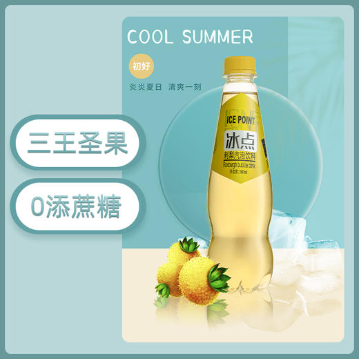 冰点刺梨气泡饮料380ml*15瓶 商品图1