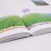 《地球生命的历程：修订版》 商品缩略图14