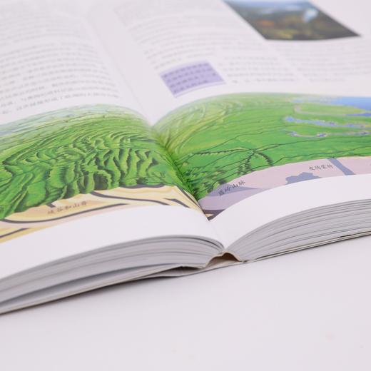 《地球生命的历程：修订版》 商品图14