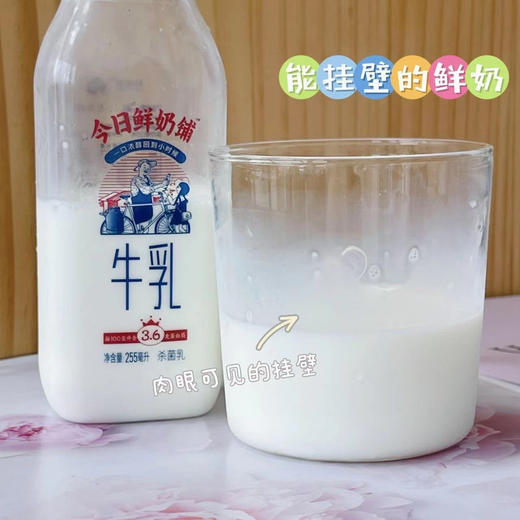 直降10元！【今日鲜奶铺】能挂壁的鲜牛奶 纯正牧场奶源 100%生牛乳 奶香浓郁 入口丝滑香甜 牛奶 商品图7