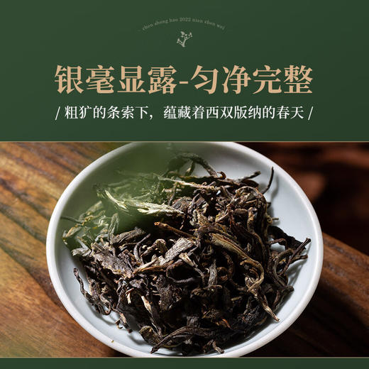 陈升号 2022年真味357g（生茶） 商品图1